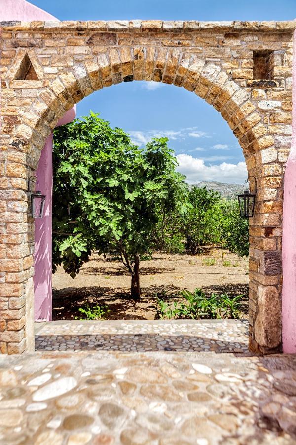 Georgilas Cave House Villa Naxos City Exterior foto