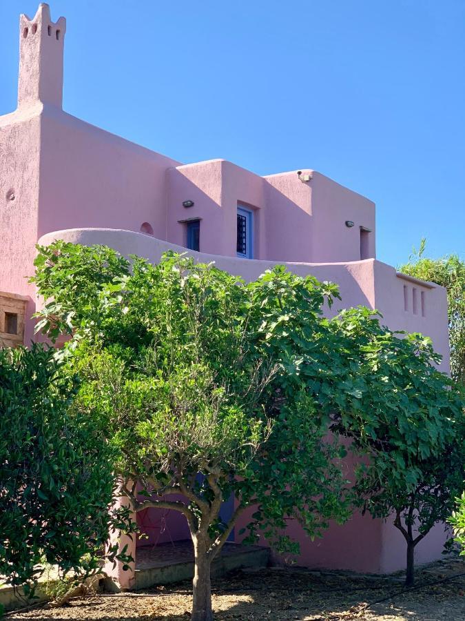 Georgilas Cave House Villa Naxos City Exterior foto